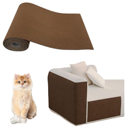 Lifetips ueBbVOwA British Longhair L ܂Ƃh~V[g  ͂ OK ǎی  \t@ hA  Ƌ  h~ \邾 ȒP 唻 Jbg\ cS Ђ΍ یtB L܂Ƃ