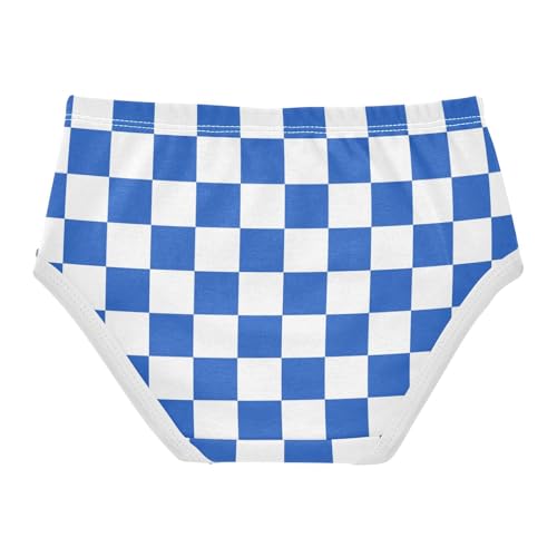 Blue and White Buffalo Checkered Toddler Girls's Underwear 2T2