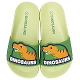 スケーター(Skater) EVA サンダル 子供用 キッズ シャワーサンダル 20cm 7-8才 ディノサウルス 恐竜 ビーチサンダル SDSH20-A