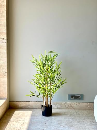 Image of Artificial Bamboo Plant with Pot, 90 cm (3 Ft) Tall, Realistic Faux Bamboo Tree for Home Decor, Indoor Decorative Plant for Living Room, Office, Bedroom & Reception