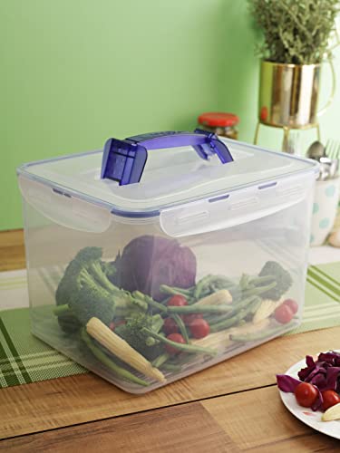 LocknLock PP Classic Aufbewahrungsbox luftdicht mit Griff & Ablaufgitter| 10L | 29,5 x 23 x 20,3 cm | 100 % luft- und wasserdichter Vorratsbehälter mit Deckel | Gefrierfeste Aufbewahrungsdose