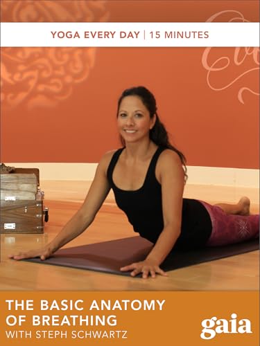 The Basic Anatomy of Breathing