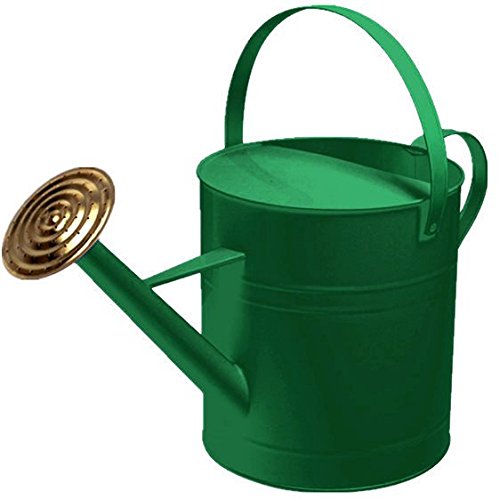 CrazyGadget® Garden Plant Flower Colour Galvanised Metal Steel Watering Can 9L 9 Litre / 2 Gallon with Brass Rose (Dark Green)