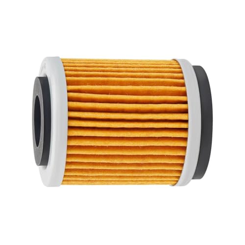 Filtro de aceite de moto para AG200, BW200, BW350 y SR125SE