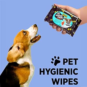 Pet Hygienic Wipes Fresh Scent 30sheets (4 Pack) – Grooming Wipes for Cleaning Face and Deodorizing