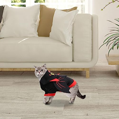 Vestiti con ali di pipistrello per animali