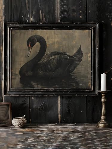 Images de cygne affiches murales animaux salon 50x70cm
