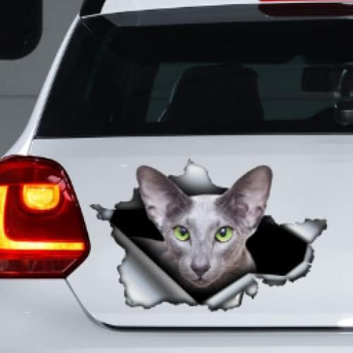 Aimant de Chat Oriental et Autocollant de Chat Gris pour Véhicule