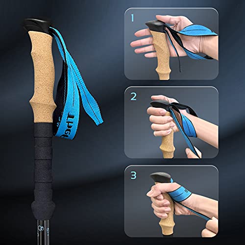 Image of TheFitLife Carbon Fiber Trekking Poles Collapsible and Telescopic Walking Sticks with Natural Cork Handle and Extended EVA Grips, Ultralight Nordic Hiking Poles for Backpacking Camping (Purple).