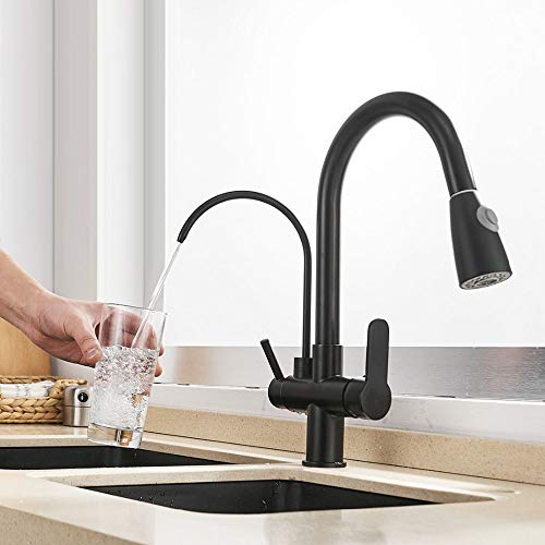 Double Filtre à Eau et Manche Double pour Cuisine et Évier Noir
