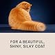 Eye Envy ProGlide Katzenkamm für langhaarige Katzen, Enthaarungskamm, entfernt Unterwolle und überschüssiges Haar, Entwirrungskamm, entfernt Verfilzungen und Knoten, verhindert verfilztes Fell, 15,2