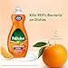 Palmolive Ultra Dish Liquid, Orange, Antibacterial, 32.5 Fl Oz (Pack of 1)
