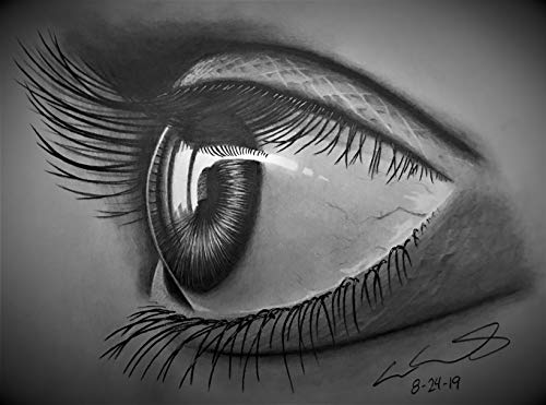 Realistic Eye Drawing Side View Wall Art Print