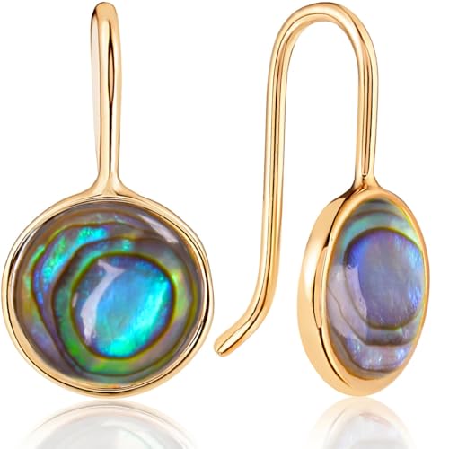 Abalone Earrings for Women - Abalone Shell Jewelry, Small Round Dangle Earrings for Women, Dainty 14k Gold Plated Dangles, Delicate Gold Dangly Drops, Dangling Iridescent Jewelry