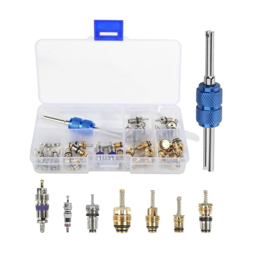 UHANBUT 40PCS Car AC Valve Core Kit, Car Accessories Air Conditioner Schrader Valve Kit, A/C R12 R134a Automotive Refrigeration Tire Valves Stem Cores Removal Tool for Most Cars