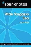 Wide Sargasso Sea (SparkNotes Literature Guide) (SparkNotes Literature Guide Series)