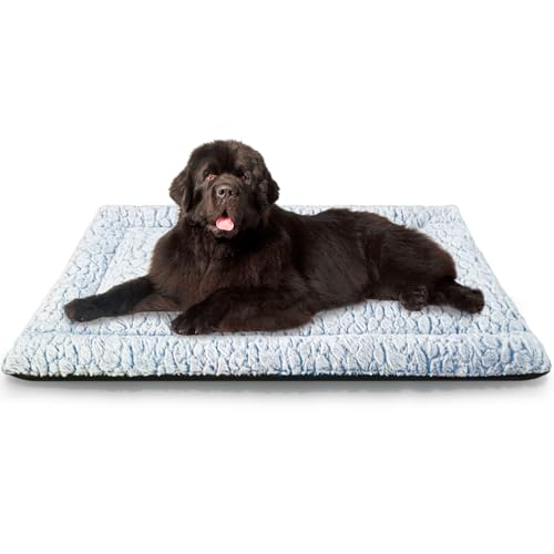 Aspand Coussin pour Chien Court en Peluche, pour Chiens de Grande Taille et Moyenne Matelas Chien, 109 x 73 cm, Facile à Nettoyer, Chaud et Confortable, Bleu