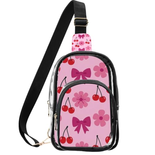 Bolso transparente aprobado para viajeros con cremallera metálica