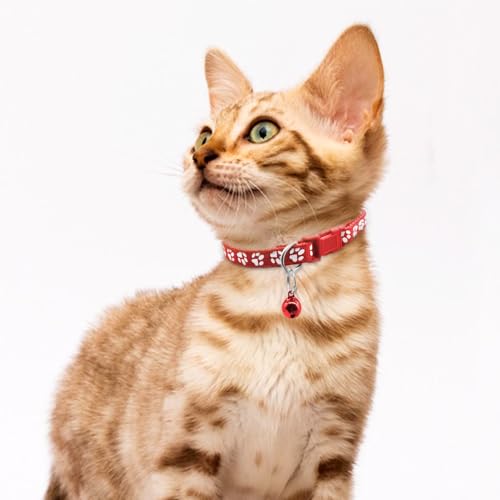 Collares para cachorros ajustables con campana 6 piezas miniatura 5