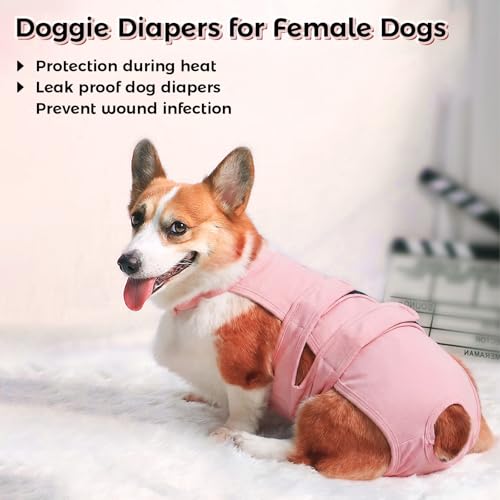 Image of QBLEEV Dog Diapers with Suspenders, Female Escape-Proof Full Body Dog Period Diapers Overalls, Reusable Washable Sanitary Panties for Heat Cycle & Incontinence, Doggie Underwear Onesie with Tail Hole
