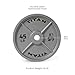Titan Fitness 45 LB Cast Iron Olympic Plate, Sold Individually, Classic Weight Plate Design, Silver Hammer Finish