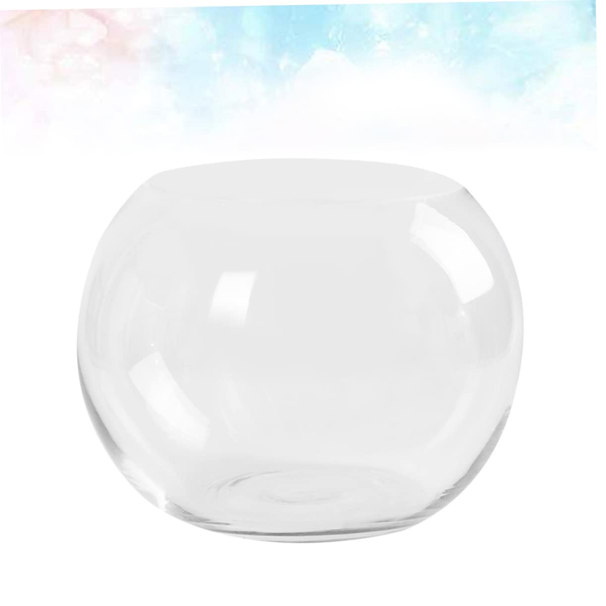 Vase en Verre Transparent Arrondi pour Plantes Hydroponiques Surface Lisse et Résistante la Rouille, Décoration de Bureau Créative pour Maison ou Hôtel