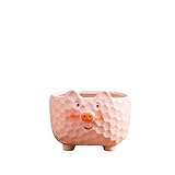 Pot de fleurs polyvalent : peut être utilisé comme pot de fleurs fonctionnel ou comme récipient décoratif pour améliorer votre environnement intérieur et extérieur.