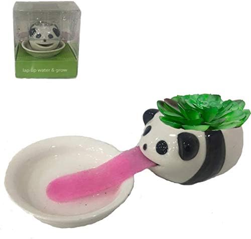 JHCtech Plant Pot Self Watering Succulent Pot Animal Tongue Drinking Cute Style Ceramic Mini Backpack Seed&Soil Not Including