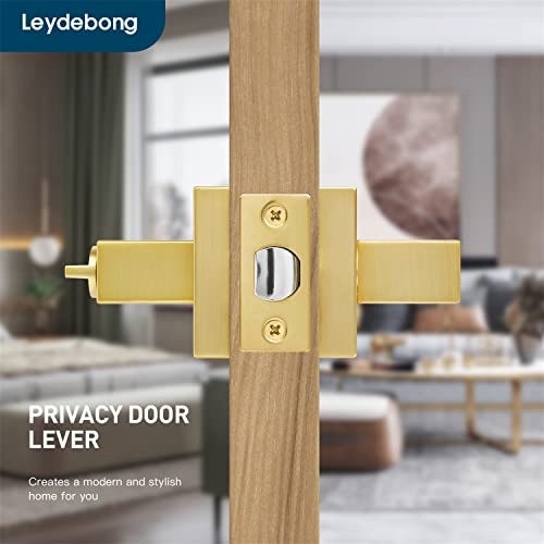 10 Pack Heavy Duty Privacy Door Lever Door Lock Sets Stain Brass Keyless Door Knobs Bedroom/Bathroom/Interior Doors Left/Right Handed Door Handle #TOP2