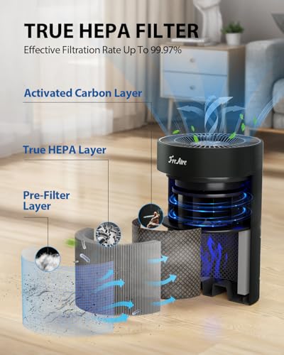 True HEPA Air Purifier for Allergies