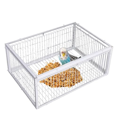 Vogelfalle Käfig, automatische ausbruchsichere Falle mit 4 Eingängen, leicht zu reinigender Käfig für Spatzen, Nymphensittiche, Sittiche und kleine Vögel, 40 x 30 x 26 cm
