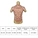 Yuewen Realistic Male Chest Silicone Muscle Half Body Artificial Fake Muscle Belly Body for cosplayers (Tan Color)