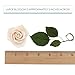 Global Sugar Art Peace Rose Ivory Sugar Cake Flowers 5 Count with Leaves by Chef Alan Tetreault