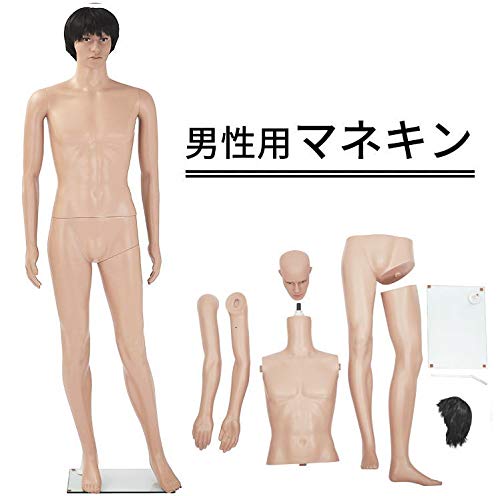 全身マネキン・トルソー メンズ 185㎝ - ダイセイ Amazon.co.jp: [ダイセイ]マネキン 全身マネキン メンズ 186㎝ リアル