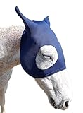 FOR WELLNESS HORSE