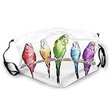 budgie desktop install 100% Polyester Fiber (polyester)