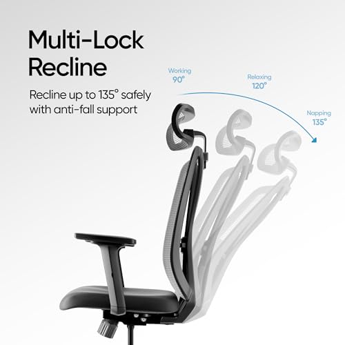 Image of Frido Aeromesh Classic Ergonomic Office Chair with Headrest | Breathable Mesh Backrest, Adjustable Lumbar Support & 2D Armrests | Comfortable Computer Chair for Home, Work & Long Sitting Hours | Black