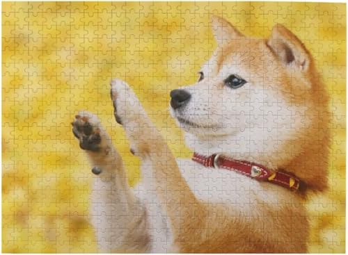 Č 200 s[X WO\[pY ؐ  W[ GObY a NX}X v[g ObY l qpY SҌ Mtg