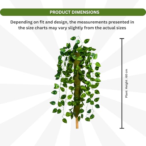 Image of fancymart Artificial Green Leaf Hanging Creeper on Moss Stick (Without Pot) - 60 cm Tall Hanging Creeper Plant for Indoor Home, Office, Restaurant & Cafe Decoration