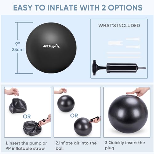 image for APEXUP Yoga Ball Exercise Ball, Heavy Duty Pilates Ball for Fitness, B
