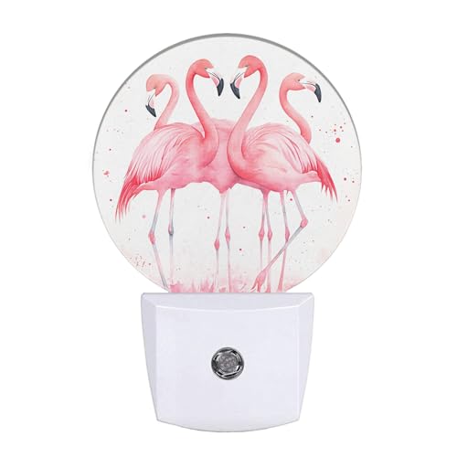 Image of EKOBLA Watercolor Tropical Flamingo Night Light, Pink Birds Plug into Wall with Dusk to Dawn Light Sensors, Warm Nightlights for Bedroom, Bathroom, Hallway, Kitchen
