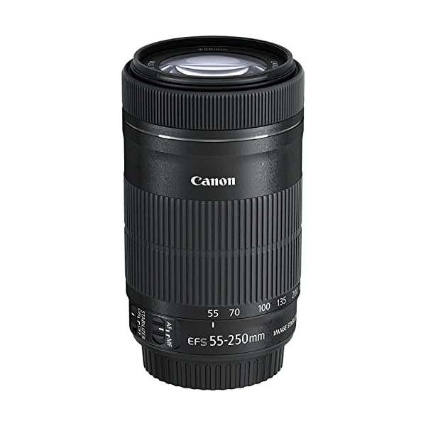 Canon EF-S 55-250mm f4-5.6 IS STM Objektiv für Spiegelreflexkameras von Canon – Bild 4