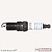 Motorcraft SP461 SP-461 AGSF43C Spark Plug (Pack of 4)