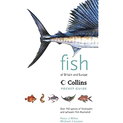 Collins Pocket Guide &ndash; Fish of Britain and Europe