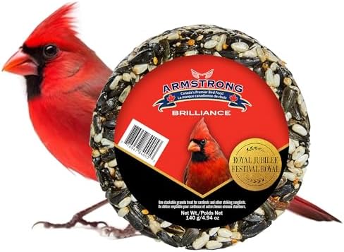 Armstrong Wild Bird Food Safflower Bird Seed, 20 Pounds