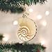 Old World Christmas Nautilus Shell Glass Blown Ornament for Christmas Tree, Handcrafted Holiday Decoration, Seashell Collection