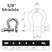 MarineNow US Type 316 Stainless Steel Bow Shackle with Over Size Screw Pin for Anchor, Towing, Off Road Recovery (0.625