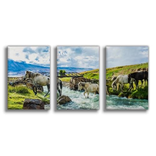 Poster sur toile chevaux traversant la rivière pour habiller un mur vide