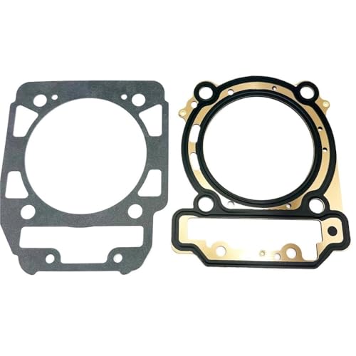 Kits de joints d'embase de culasse moteurs D2 D4 pour rénovation