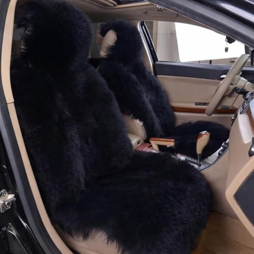 Pointer �V�[�g�J�o�[ ���[�g�� �t�@�[ �ėp ������� �^�]�� ����� 2�r�Z�b�g ����h�~ FUA �u���b�N